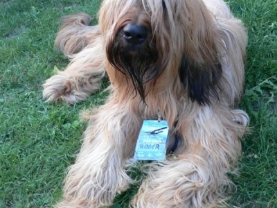 Z wizytą w Kikitach