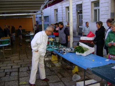 Żeglowanie na wodach Chorwacji