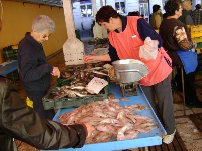 Żeglowanie na wodach Chorwacji