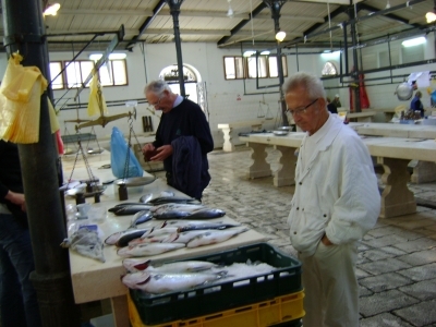 Żeglowanie na wodach Chorwacji