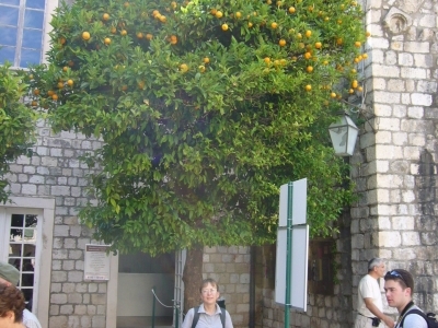 Chorwacja - samochodem